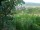Webcam in Feuerbach, 17 km entfernt