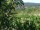 Webcam in Feuerbach, 4.4 mi away