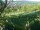 Webcam in Feuerbach, 8.5 mi away