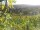 Webcam in Feuerbach, 4.4 mi away