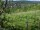 Webcam in Feuerbach, 22 km entfernt