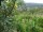 Webcam in Feuerbach, 3.7 mi away