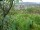 Webcam in Feuerbach, 7.1 mi away