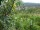 Webcam in Feuerbach, 10.3 km entfernt