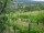 Webcam in Feuerbach, 4.3 mi away
