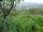 Webcam in Feuerbach, 8.5 mi away