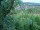 Webcam in Feuerbach, 9.6 mi away