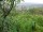Webcam in Feuerbach, 22 km