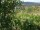 Webcam in Feuerbach, 4.8 mi away