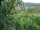 Webcam in Feuerbach, 5 km entfernt