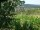 Webcam in Feuerbach, 6.7 mi away