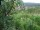 Webcam in Feuerbach, 5 km entfernt