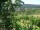 Webcam in Feuerbach, 9.4 km