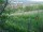 Webcam in Feuerbach, 15.7 km entfernt