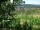 Webcam in Feuerbach, 11 km entfernt