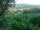 Webcam in Feuerbach, 5.5 mi away