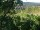 Webcam in Feuerbach, 8.5 mi away