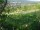 Webcam in Feuerbach, 7.1 mi away