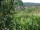 Webcam in Feuerbach, 4.4 mi away