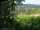 Webcam in Feuerbach, 5 km