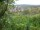 Webcam in Feuerbach, 5.9 km entfernt