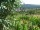 Webcam in Feuerbach, 7.5 mi away