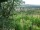 Webcam in Feuerbach, 7.5 mi away