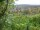 Webcam in Feuerbach, 4.2 mi away