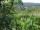 Webcam in Feuerbach, 5.6 mi away