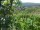 Webcam in Feuerbach, 9.6 km