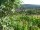 Webcam in Feuerbach, 7.5 mi away