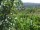 Webcam in Feuerbach, 9.6 km