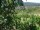 Webcam in Feuerbach, 6.2 mi away