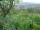 Webcam in Feuerbach, 10.3 km entfernt
