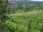 Webcam in Feuerbach, 4 mi away