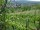 Webcam in Feuerbach, 5.5 mi away