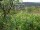Webcam in Feuerbach, 10.3 km entfernt