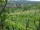 Webcam in Feuerbach, 8.5 mi away