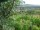 Webcam in Feuerbach, 22 km