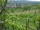 Webcam in Feuerbach, 4.8 mi away