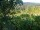 Webcam in Feuerbach, 22 km