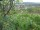 Webcam in Feuerbach, 3 mi away