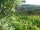Webcam in Feuerbach, 8.5 mi away