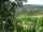 Webcam in Feuerbach, 7.5 mi away