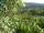 Webcam in Feuerbach, 4.3 mi away