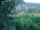 Webcam in Feuerbach, 7.1 mi away