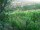 Webcam in Feuerbach, 4.2 km