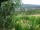 Webcam in Feuerbach, 8.5 mi away