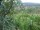 Webcam in Feuerbach, 4.4 mi away