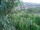 Webcam in Feuerbach, 7.6 mi away